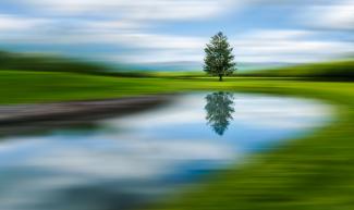 Charlottesville Camera Club